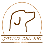 joticodelrio-touch