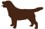 Labrador Chocolate Silueta